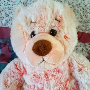 Build a Bear Valentine's Easter Pink & Red Shaggy Bear 16"
